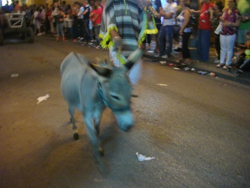 IMGP2176.JPG