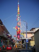 IMGP2249.JPG