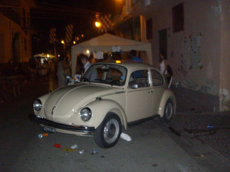 IMGP0319.JPG