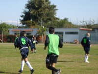 IMGP3271.JPG
